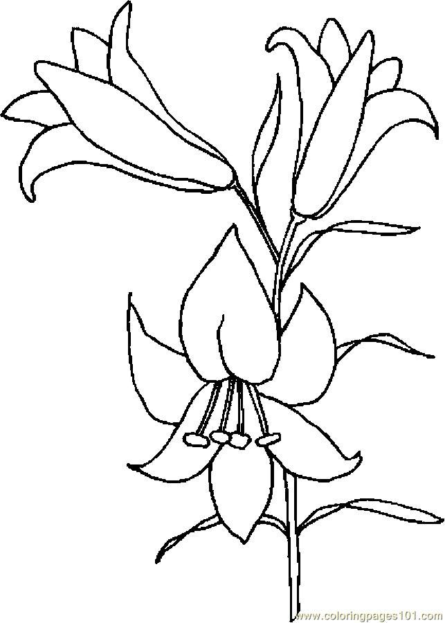Plansa de colorat cu Liliac 39 33